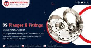 Supplier of SS Flanges & Fittings in India